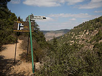 Завершена спасательная операция на ручье Катлеб