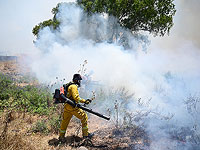 На границе с Газой в результате 