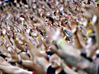 The Times. Финал Евро-2020 могут перенести из Лондона в Будапешт