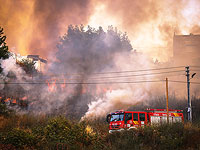 Пожары в окрестностях Иерусалима. Фоторепортаж