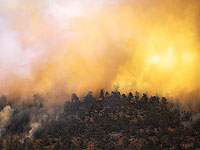 Пожары в окрестностях Иерусалима: подозрение на поджоги