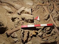 Homo Nesher Ramla: израильские ученые нашли новое звено в истории эволюции человека