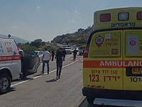 СМИ: причиной убийства семьи возле деревни Эйлабун могла стать кровная месть