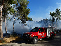 Пожары в Самарии, подозрение на поджог