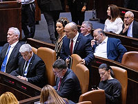 Коалиция не смогла перенести рассмотрение закона о гражданстве в комиссию по иностранным делам и обороне