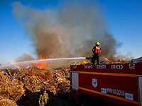 Пожар в Эшколе, подозрение на