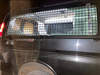 Демобилизованные военнослужащие потребовали принять меры против насилия со стороны поселенцев