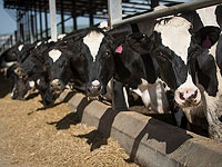 Подписано коллективное соглашение на фабрике 