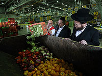 Минфин и министерство религий продвигают план по открытию рынка кашрута для конкуренции