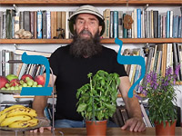 Рыбы и буквы – Ламед. Видео-эссе гида и культуролога Михаила Короля