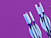 Олимпиада. Израильский лучник Итай Шанни вышел в 1/8 финала