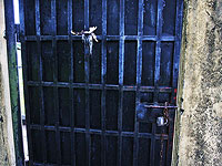 В Нигерии после трех недель заключения освобождены израильские кинематографисты