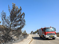 13 пожарных расчетов участвуют в тушении огня в русле ручья Ицпор