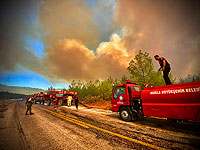 Турция взывает к международной помощи из-за лесных пожаров