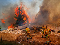 Лесной пожар около поселка Шореш. Фоторепортаж