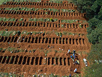 Ученые из Германии и Израиля анализируют данные о смертности во время пандемии коронавируса