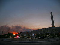 На юго-западе Турции спасена от огня ТЭЦ