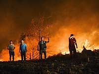 Беспрецедентные пожары на юге Турции. Шестеро погибших, сотни пострадавших