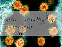 Исследование: фенофибрат при заражении SARS-CoV-2 способен снизить вирусную нагрузку на 70%