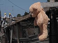 Либерман подписал соглашение о расселении Кфар-Шалема: 800 семей получат миллиард шекелей