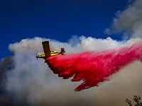 Пожар в Иерусалимских горах: два человека считаются пропавшими без вести