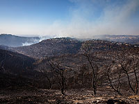 Возобновился пожар в Иерусалимских горах