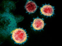 ВОЗ начала отслеживать новый вариант коронавируса 