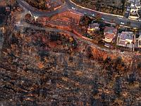 Спутниковые снимки NASA подтверждают версию поджога в Иерусалимских горах