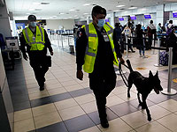 Панама выдала Израилю преступника, скрывшегося 28 лет назад