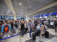 В московском Домодедово шесть дней искали собаку, потерявшуюся после сдачи багажа