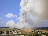 Пожар в лесу возле Хадеры; на место прибыли несколько пожарных расчетов