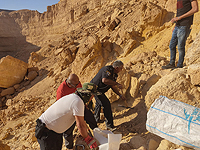 Во время похода по руслу ручья Ямин туристы обнаружили скелет человека