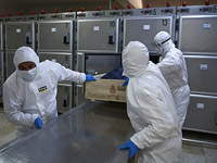 Исследование: коронавирус снижает продолжительность жизни так же, как Вторая мировая война