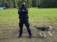 Иностранцы на границе с Польшей получают СМС-сообщения:
