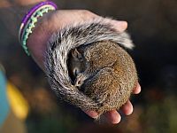 Как избежать бессонницы, связанной со стрессом