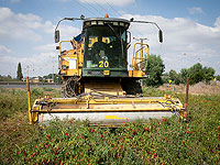 Создана межминистерская группа по повышению конкуренции в сельском хозяйстве