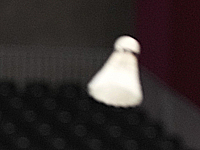 Бадминтон. Определились четвертьфиналисты и полуфиналистки командных чемпионатов мира