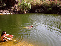 120 тысяч израильтян в этот шаббат посетили заповедники и парки