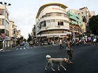 Полиция задержала бездомного, ограбившего пожилую женщину в центре Тель-Авива