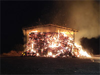 Двое жителей деревни Туба-Зангария задержаны по подозрению в поджоге в кибуце