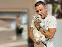 Глава финкомиссии Кнессета: годовой бюджет на стерилизацию бездомных кошек увеличен на 6 млн шекелей