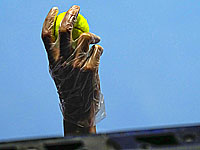 Непривитые теннисисты не смогут сыграть в Открытом чемпионате Австралии