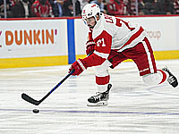 30 сэйвов Бобровского. Победные шайбы Ларкина и Дадонова