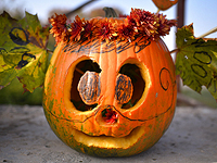 Стрельба на