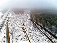 FT: Россия на втором месте в мире по числу избыточных смертей в период пандемии коронавируса. Комментарий Кремля
