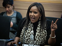 Министр алии и интеграции раскритиковала Совет по национальной безопасности, рекомендовавший не спешить с эвакуацией фалашмура