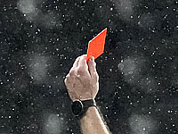 Чемпионат Испании. Судья вступился за игрока и удалил тренера