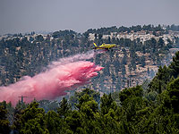 Возле деревни Ярка вспыхнул пожар; эвакуированы жители 30 домов