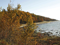 В Мичигане разбился самолет, погибли четыре человека