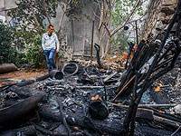 Последствия лесного пожара на севере Израиля. Фоторепортаж